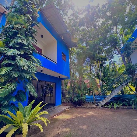 Jungle Fence Acomodação com café da manhã Bentota Exterior foto