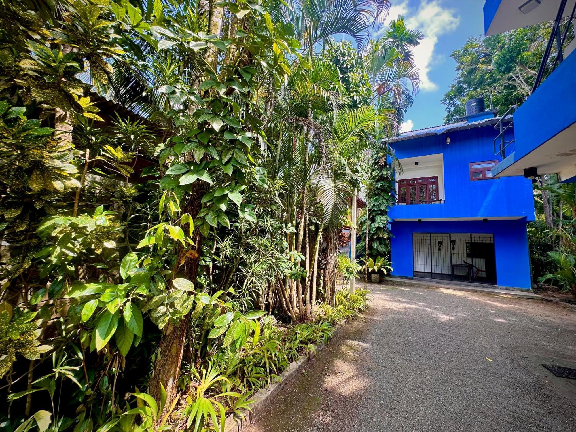 Jungle Fence Acomodação com café da manhã Bentota Exterior foto