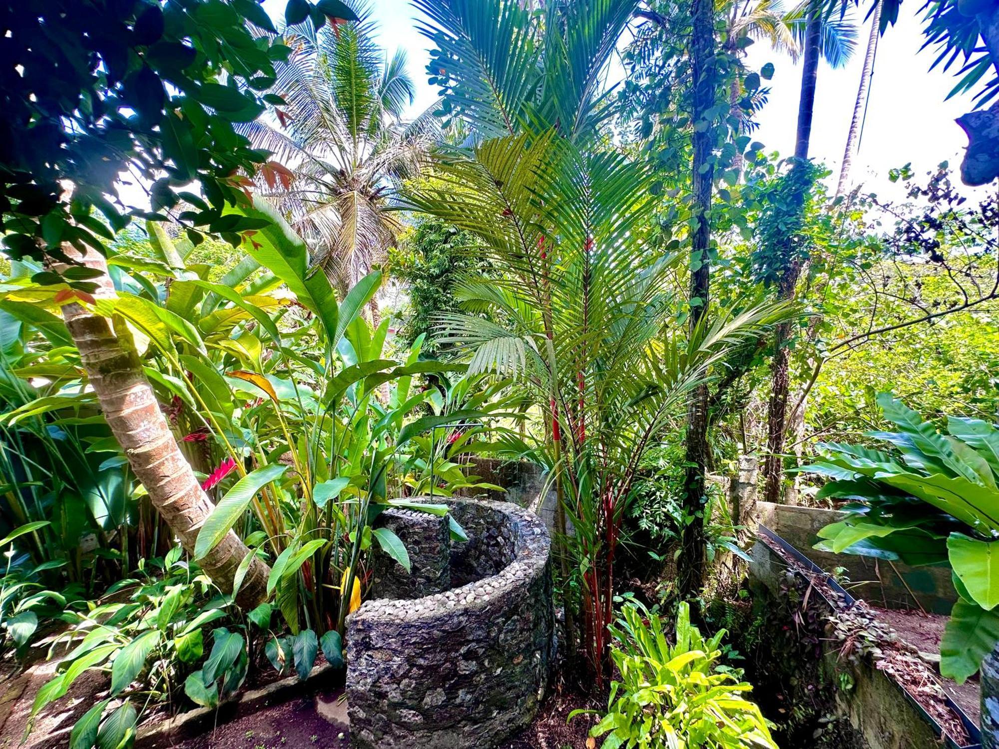 Jungle Fence Acomodação com café da manhã Bentota Exterior foto